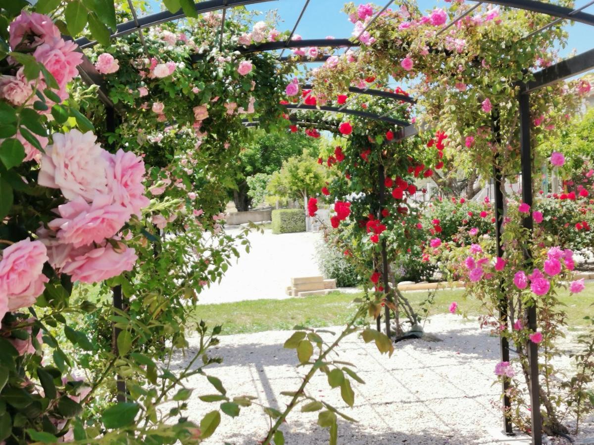 Gite En Provence Lavande Modene Zewnętrze zdjęcie