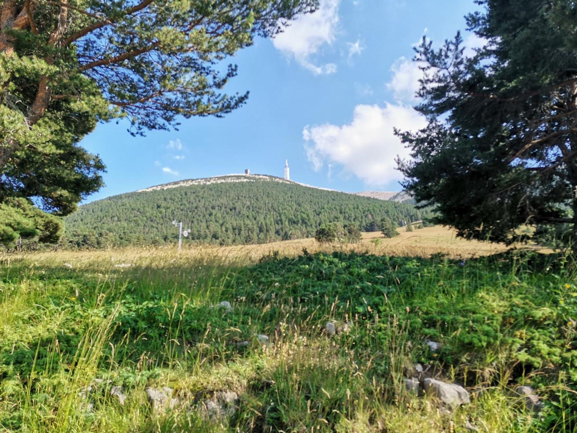 Gite En Provence Lavande Modene Zewnętrze zdjęcie