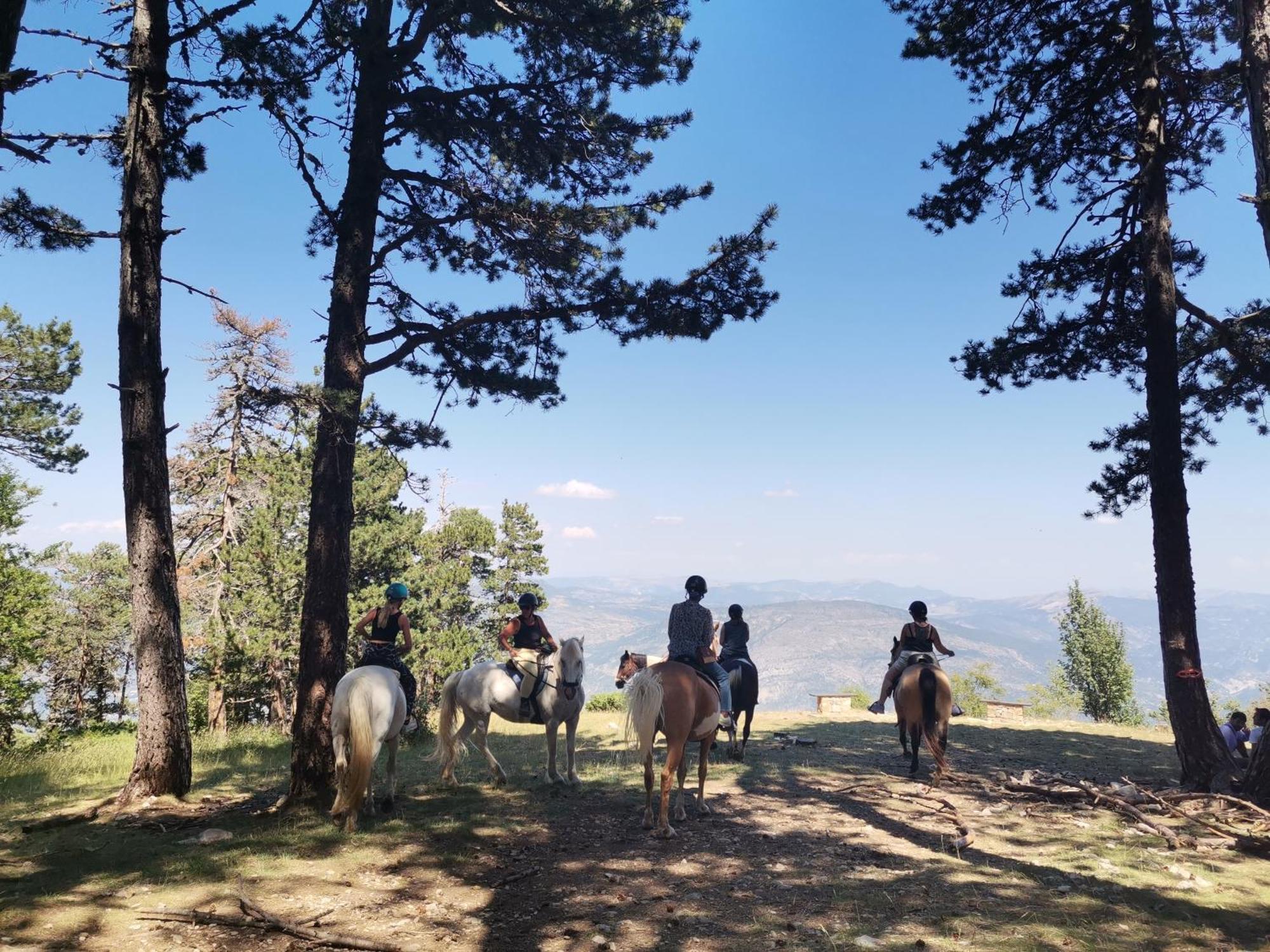 Gite En Provence Lavande Modene Zewnętrze zdjęcie