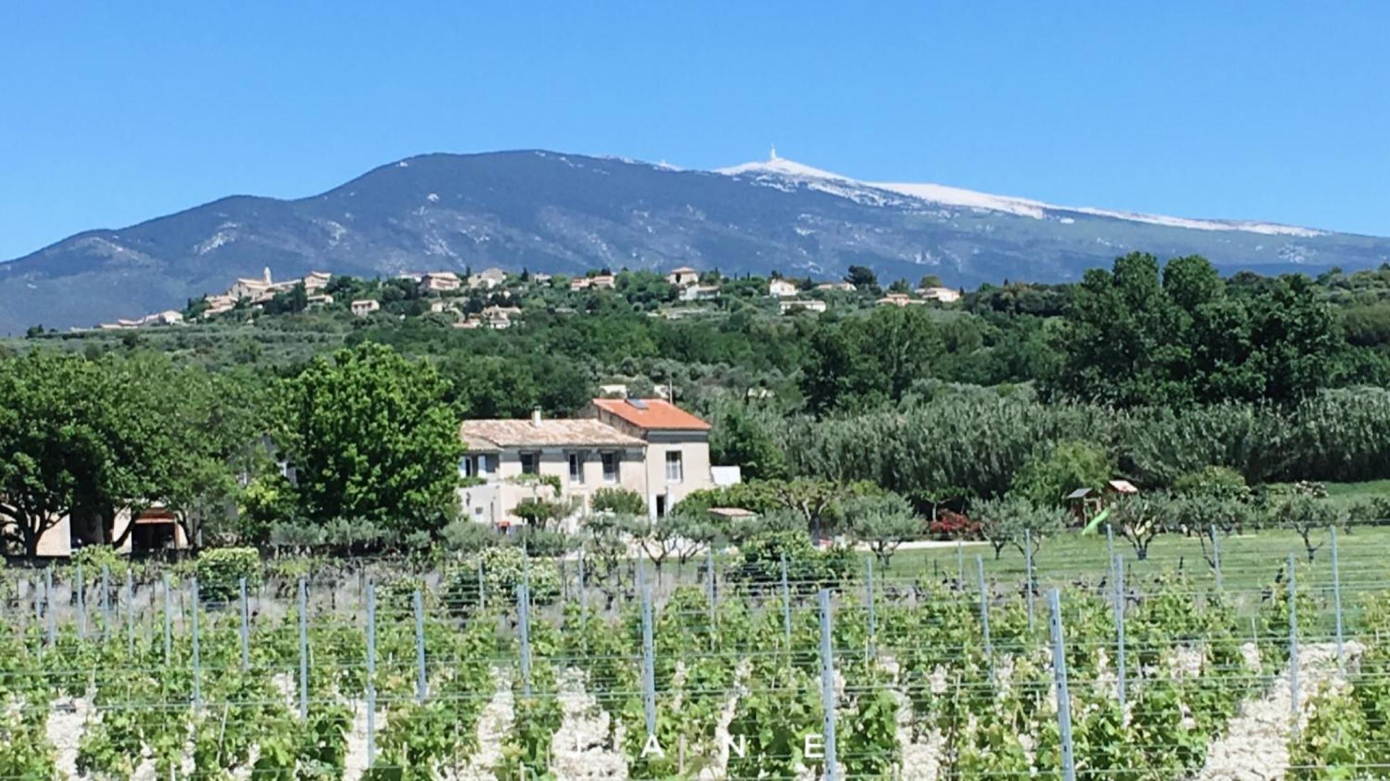 Gite En Provence Lavande Modene Zewnętrze zdjęcie
