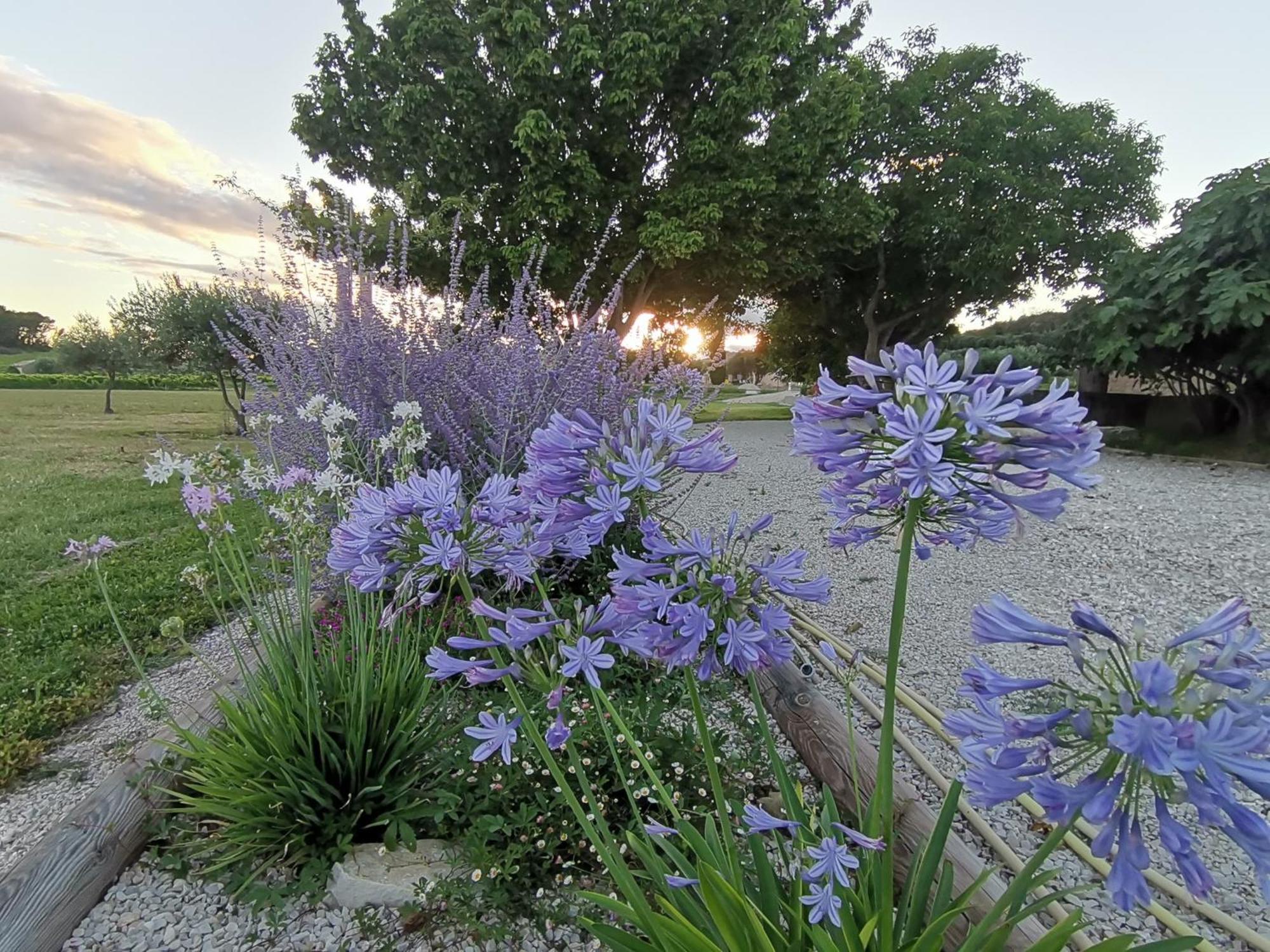 Gite En Provence Lavande Modene Zewnętrze zdjęcie