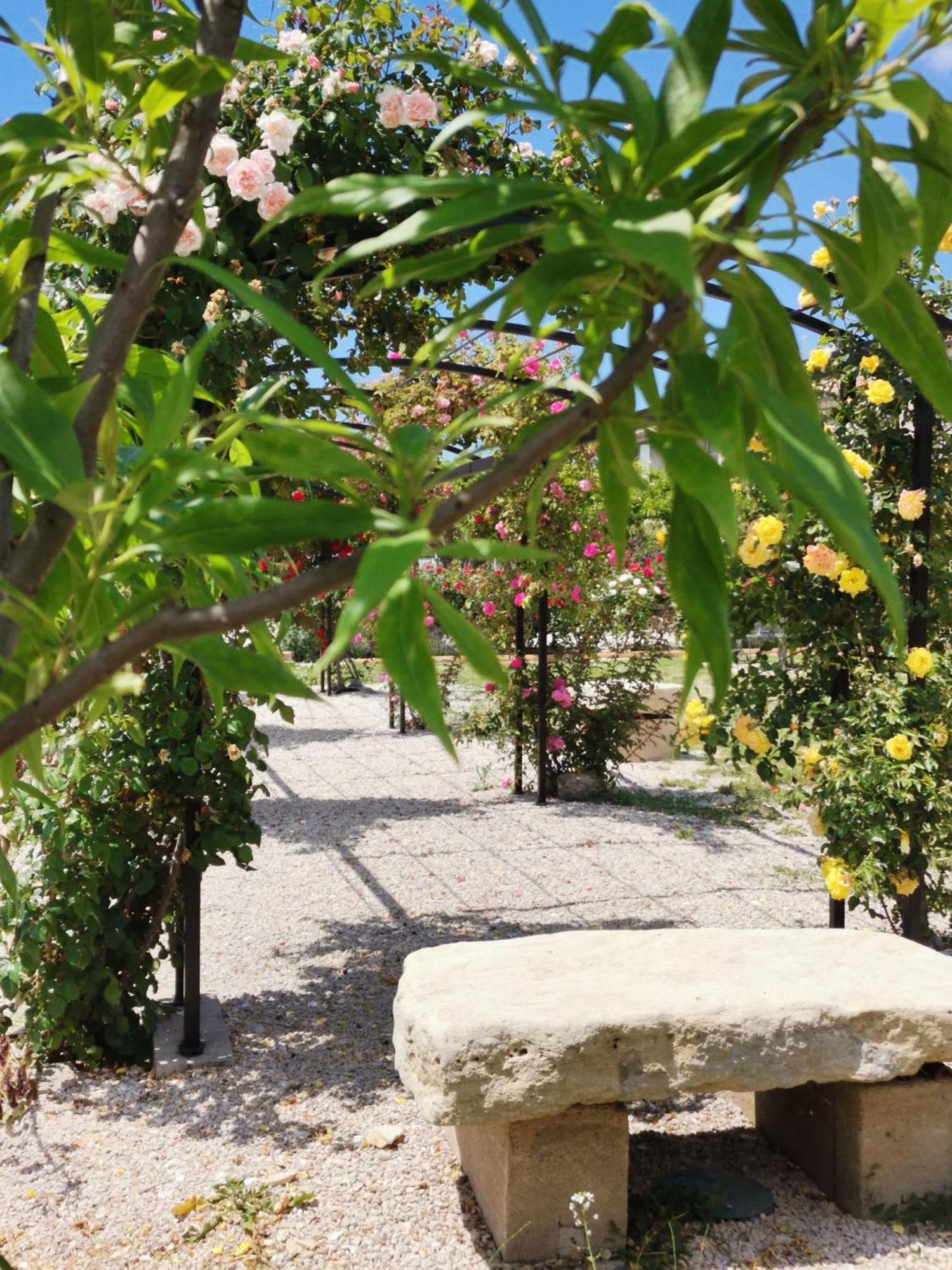 Gite En Provence Lavande Modene Zewnętrze zdjęcie